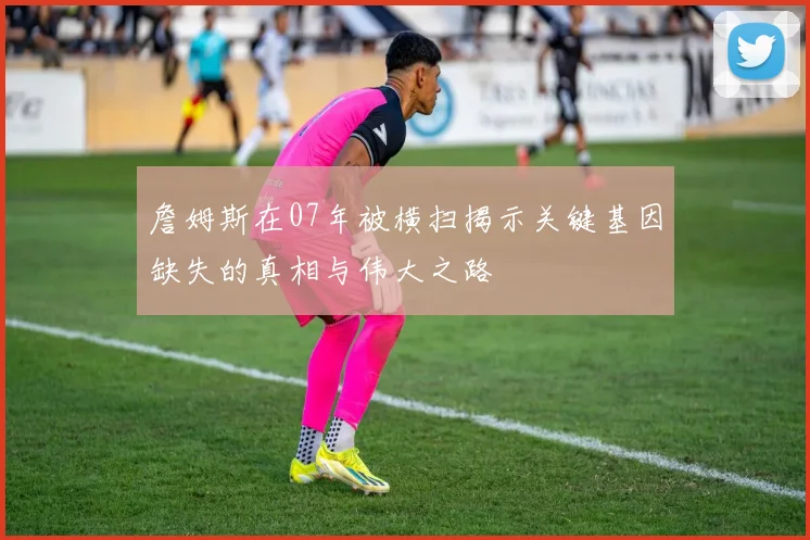 詹姆斯在07年被横扫揭示关键基因缺失的真相与伟大之路